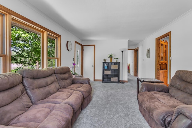 8595 Rives Junction Rd, Rives Junction, MI 49277 - carpeted living area with crown molding