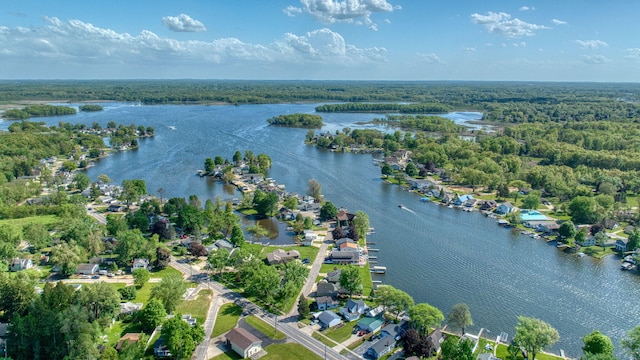 aerial view of residential area featuring a large body of water and a heavily wooded area