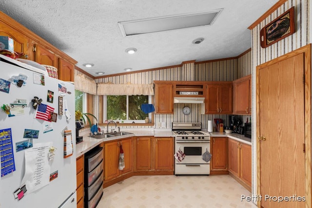 1633 Lavender Dr, Hastings, MI 49058 - kitchen with white appliances, a sink, light countertops, a textured ceiling, and ornamental molding