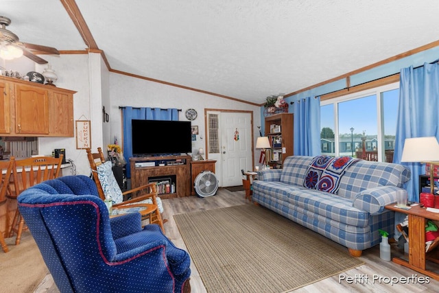 1633 Lavender Dr, Hastings, MI 49058 - living area with ceiling fan, lofted ceiling, ornamental molding, light wood-type flooring, and a textured ceiling