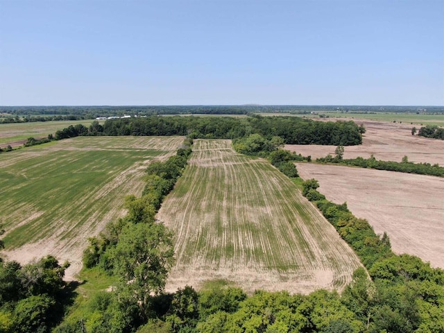 9625 Geddes Rd, Ypsilanti, MI 48198 - view of rural area with extensive farmland