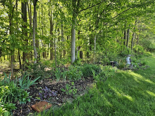 12250 Aleigha Dr NW, Grand Rapids, MI 49534 - view of undeveloped land
