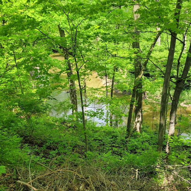 1614 Mooreville Rd, Milan, MI 48160 - view of local wilderness