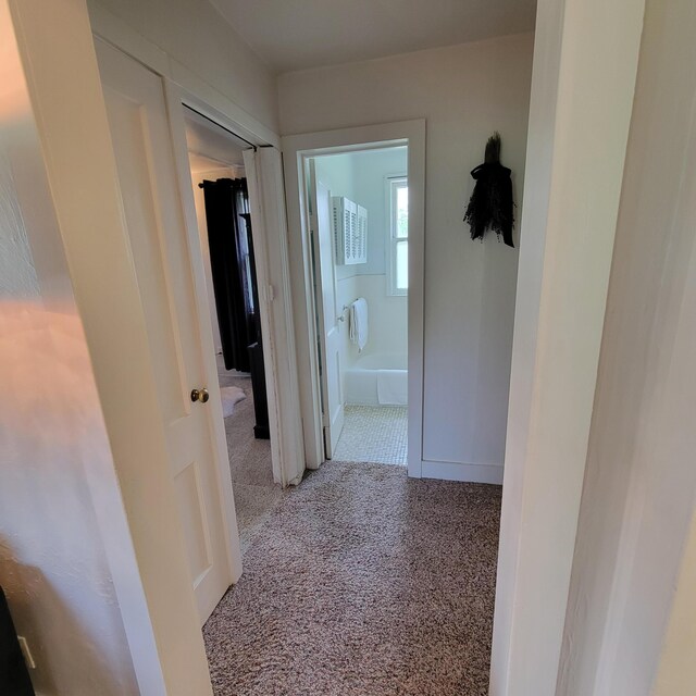 1614 Mooreville Rd, Milan, MI 48160 - hallway featuring baseboards and carpet flooring
