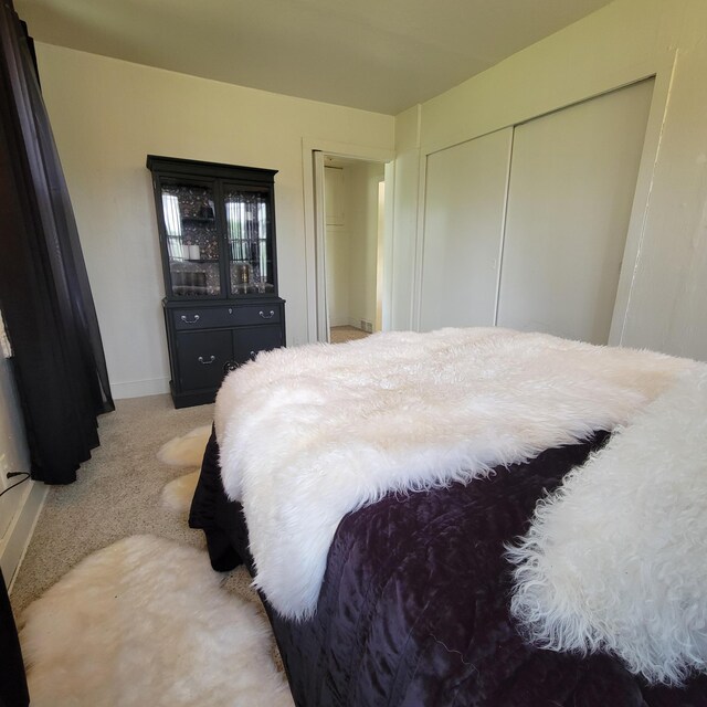 1614 Mooreville Rd, Milan, MI 48160 - bedroom with light carpet, baseboards, and a closet
