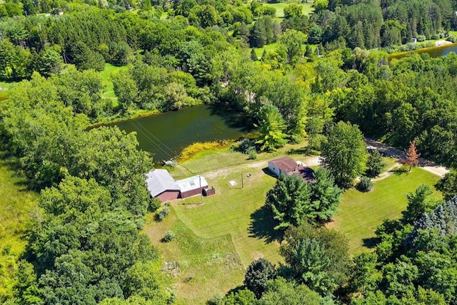 1666 Kile Rd, Metamora, MI 48455 - view of rural area with a large body of water and a heavily wooded area