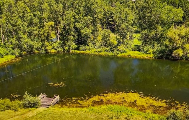 1666 Kile Rd, Metamora, MI 48455 - water view featuring a heavily wooded area