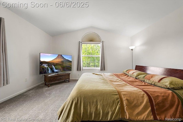 1226 Fountain View Ln, Oxford, MI 48371 - bedroom featuring vaulted ceiling, carpet, and baseboards