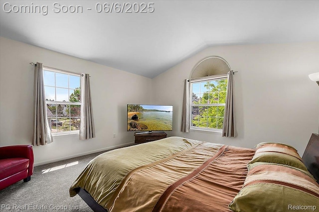 1226 Fountain View Ln, Oxford, MI 48371 - carpeted bedroom with multiple windows, vaulted ceiling, and baseboards