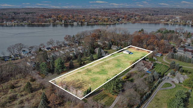 11400 Hillman, Davisburg, MI 48350 - aerial view of property's location featuring property boundaries highlighted and a nearby body of water