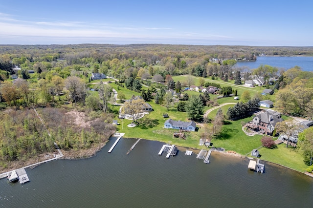 11400 Hillman, Davisburg, MI 48350 - drone / aerial view of a forest and a nearby body of water