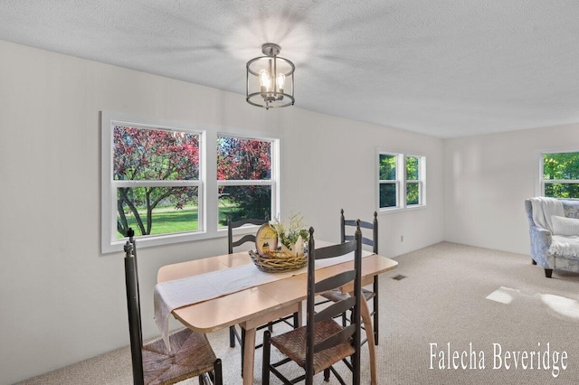 914 32nd St, Allegan, MI 49010 - dining space with light carpet, healthy amount of natural light, a chandelier, and a textured ceiling