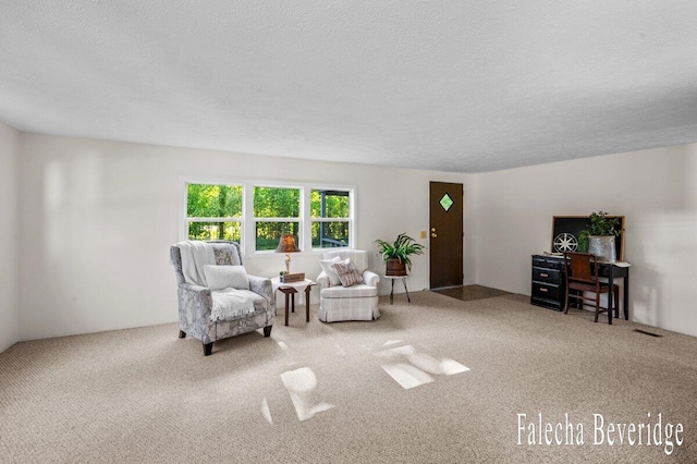 914 32nd St, Allegan, MI 49010 - carpeted living area featuring a textured ceiling