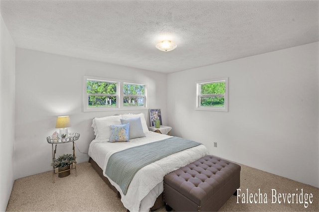 914 32nd St, Allegan, MI 49010 - bedroom featuring carpet flooring and a textured ceiling