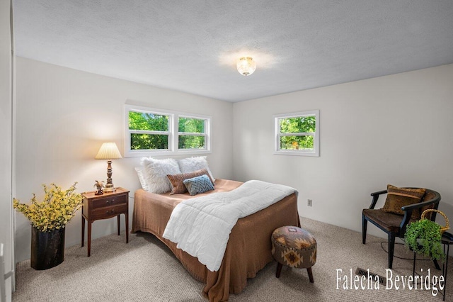 914 32nd St, Allegan, MI 49010 - view of carpeted bedroom
