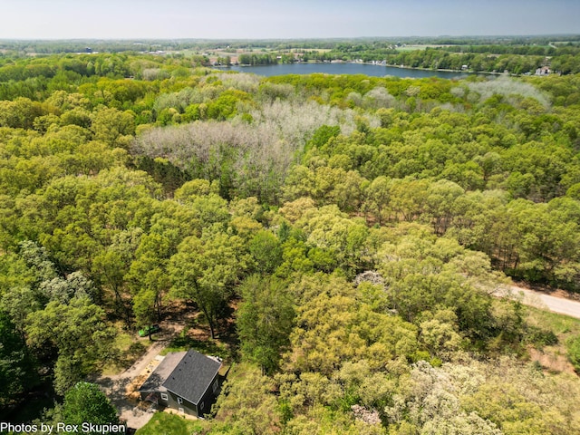 2490 S Parsons Ave, Fremont, MI 49412 - aerial view of a heavily wooded area and a nearby body of water