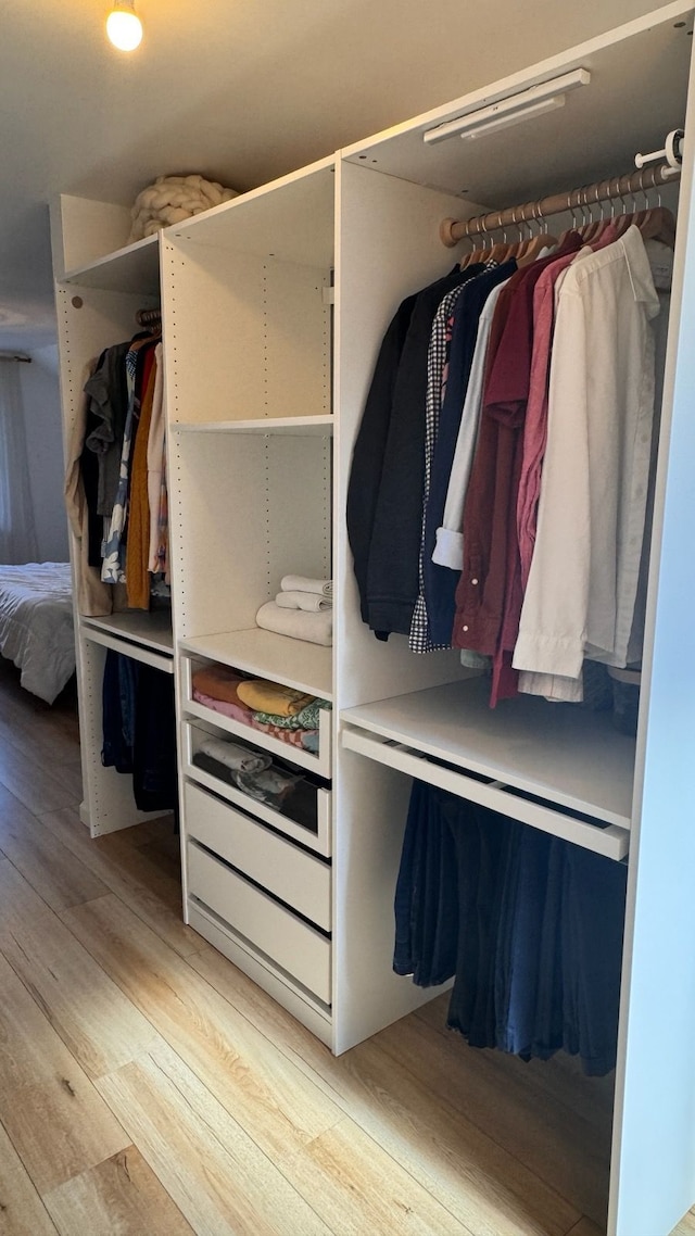 21111 Fleetwood Dr, Harper Woods, MI 48225 - view of closet