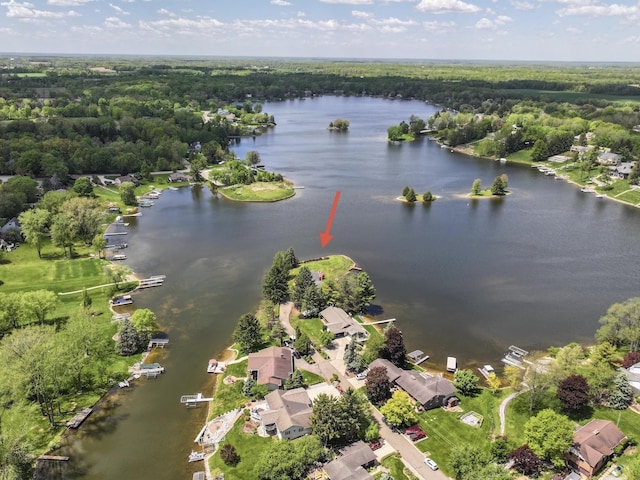 7500 Ore Knob Ct, Fenton, MI 48430 - bird's eye view of a nearby body of water and a heavily wooded area