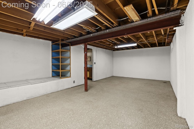7109 Lake Shore Dr, Chelsea, MI 48118 - view of below grade area