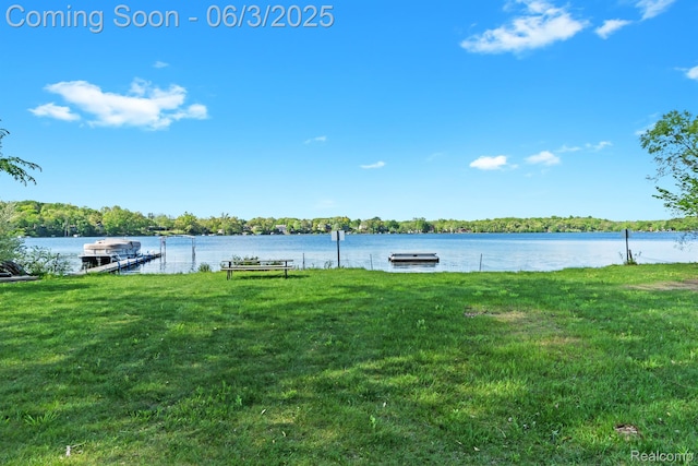 7109 Lake Shore Dr, Chelsea, MI 48118 - water view featuring a boat dock