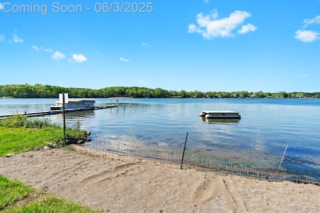 7109 Lake Shore Dr, Chelsea, MI 48118 - dock featuring a water view