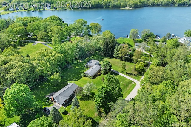 7109 Lake Shore Dr, Chelsea, MI 48118 - aerial view of property and surrounding area featuring a large body of water