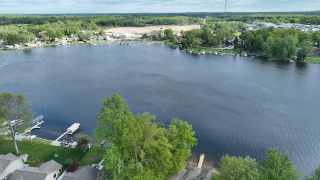 1670 Edwin Dr, Brighton, MI 48114 - aerial view of property and surrounding area with a large body of water and a forest