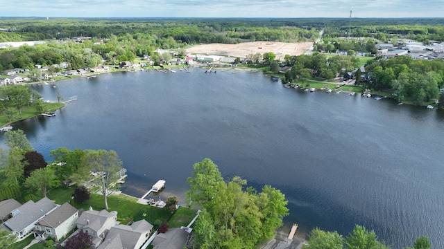 1670 Edwin Dr, Brighton, MI 48114 - aerial overview of property's location featuring a large body of water, a forest, and nearby suburban area