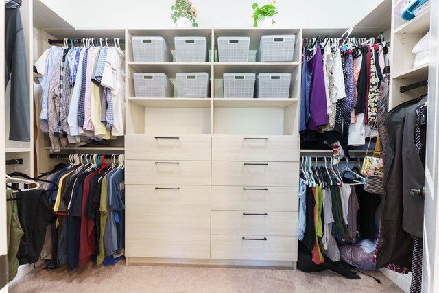10408 Stoney Point Dr, South Lyon, MI 48178 - walk in closet featuring carpet flooring