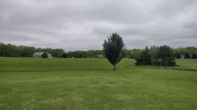 2920 Oak Grove Rd, North Branch, MI 48461 - photo 16