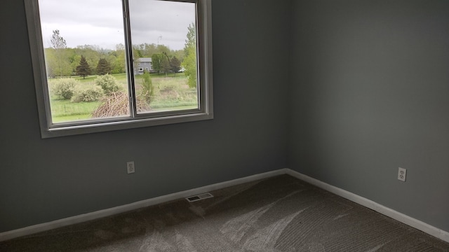 2920 Oak Grove Rd, North Branch, MI 48461 - photo 47
