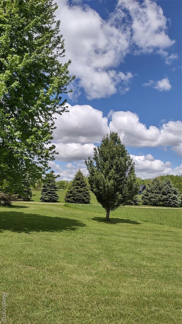 2920 Oak Grove Rd, North Branch, MI 48461 - photo 6