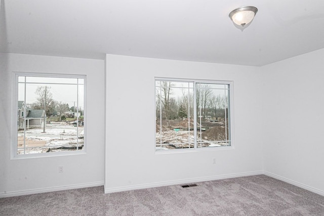 53209 Woodland Mdws, Clinton Township, MI 48047 - carpeted spare room featuring healthy amount of natural light and baseboards