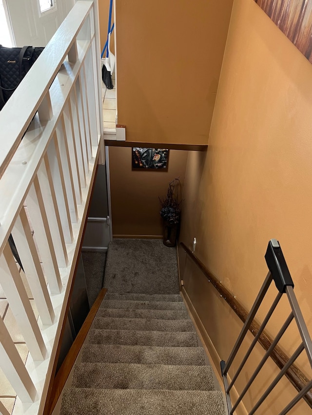 staircase with carpet floors