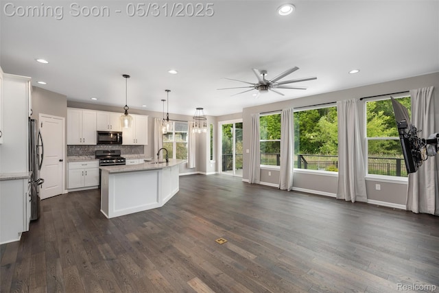4280 Rolling Meadow Ln, Ypsilanti, MI 48197 - kitchen with stainless steel appliances, a ceiling fan, a sink, dark wood finished floors, and recessed lighting