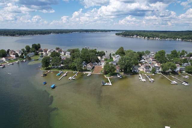 11181 W Ferndale Dr, Manitou Beach, MI 49253 - aerial perspective of suburban area featuring a large body of water