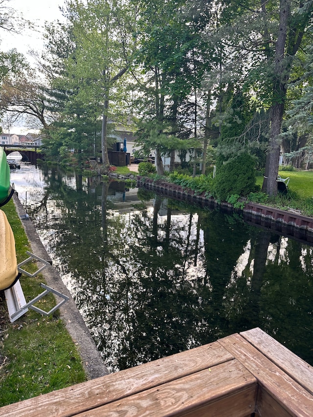 11181 W Ferndale Dr, Manitou Beach, MI 49253 - dock featuring a water view and view of wooded area