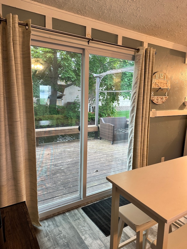 11181 W Ferndale Dr, Manitou Beach, MI 49253 - doorway featuring a textured ceiling, healthy amount of natural light, wood finished floors, and a textured wall