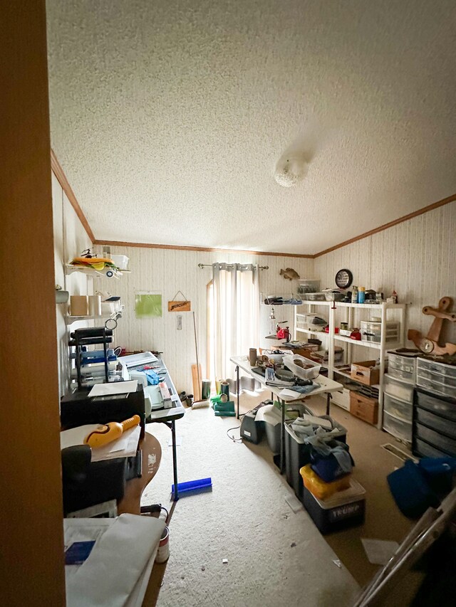 1076 N Lakeshore Rd, Harbor Beach, MI 48441 - view of storage