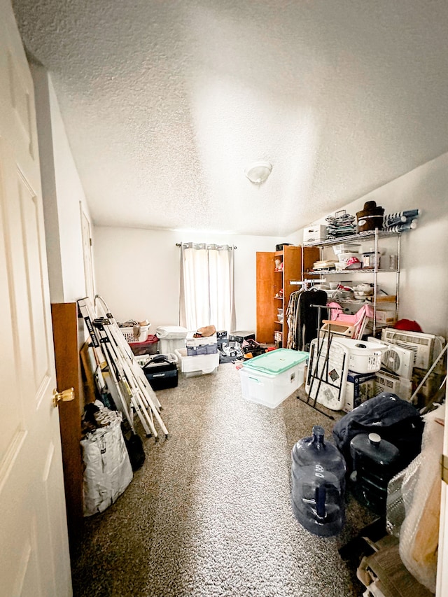 1076 N Lakeshore Rd, Harbor Beach, MI 48441 - miscellaneous room featuring a textured ceiling