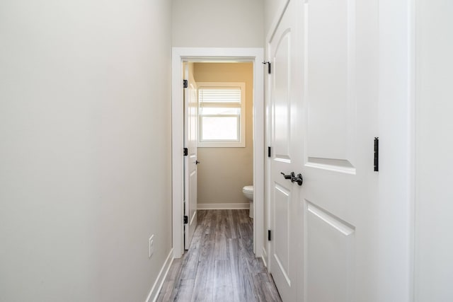 18767 Millar Rd, Clinton Township, MI 48036 - corridor featuring light wood finished floors and baseboards