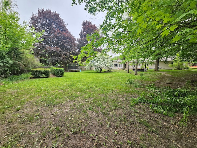 view of green lawn featuring a trampoline
