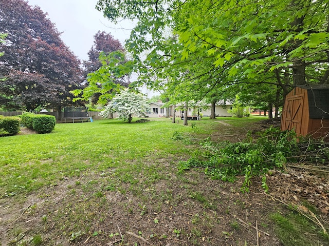 view of yard featuring a trampoline, a storage shed, and an outbuilding