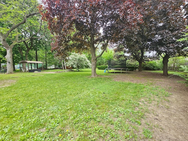 view of green lawn featuring a trampoline