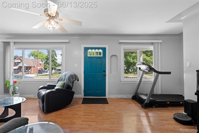 7416 Gerald Ave, Warren, MI 48092 - foyer with light wood-style floors, healthy amount of natural light, and a ceiling fan