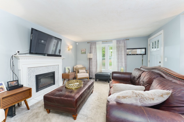 466 Wayland Ave, East Lansing, MI 48823 - carpeted living area with a tile fireplace