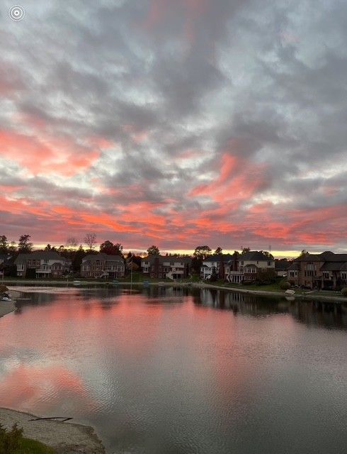 54545 Pelican Ln, Shelby Twp, MI 48315 - water view with nearby suburban area