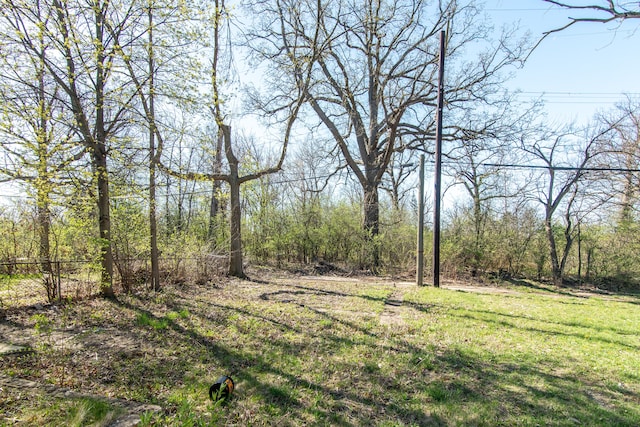 975 Fernhill St, Highland Park, MI 48203 - view of yard