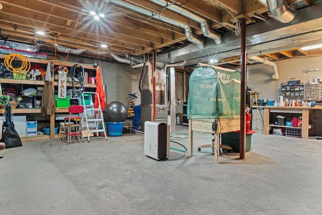 336 Jonesville Rd, Jonesville, MI 49250 - unfinished basement featuring heating unit and a workshop area