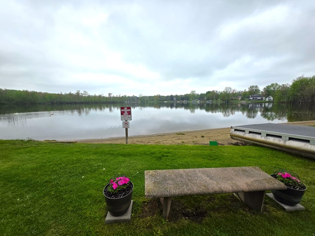 11928 Shenandoah Unit 3, South Lyon, MI 48178 - water view